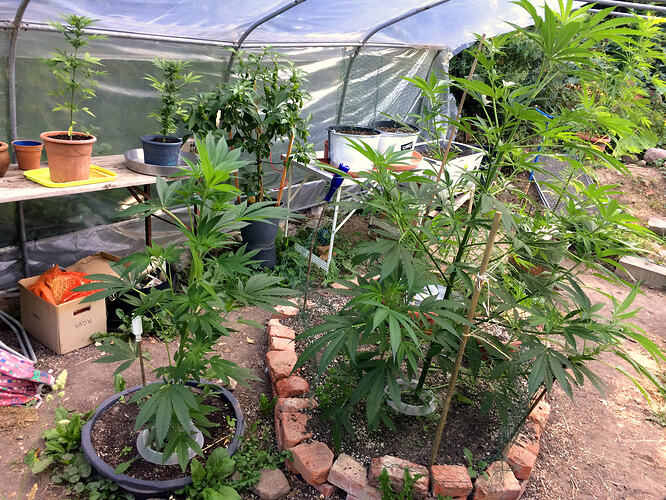 Grow26_0723_01