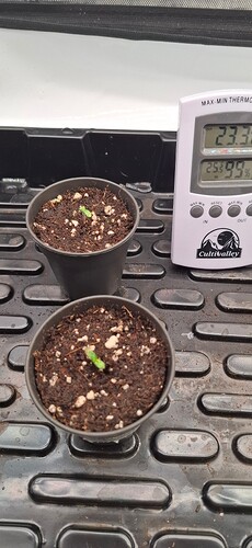 Growreport Bild 9