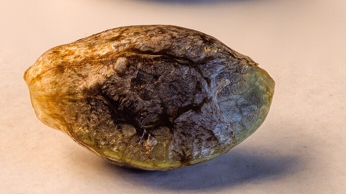 Growreport Bild 4