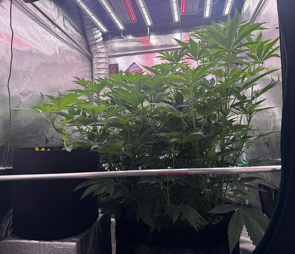 Growreport Bild 19