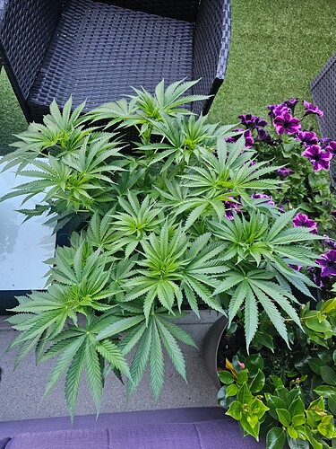 Growreport Bild 23