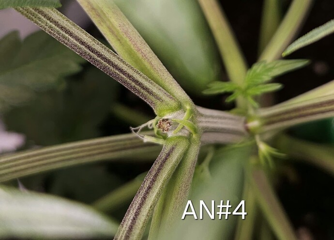 Growreport Bild 19