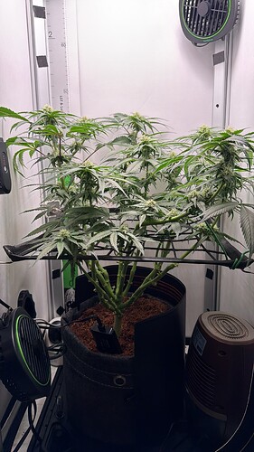 2CF86D36-34D8-45BD-A6BD-4FCC5E560D59