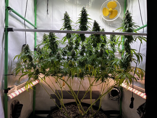 Growreport Bild 2