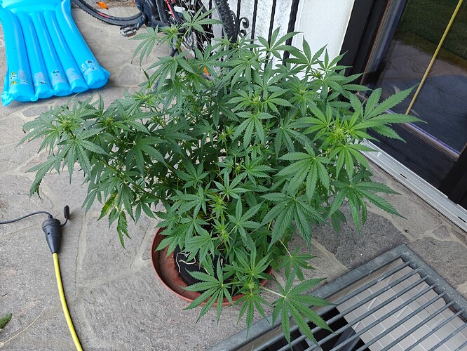 Growreport Bild 9