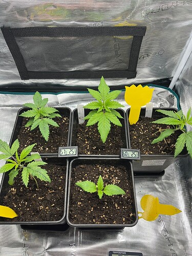 WhatsApp Image 2024-07-28 at 21.14.41