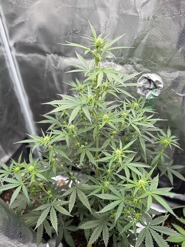 Growreport Bild 20