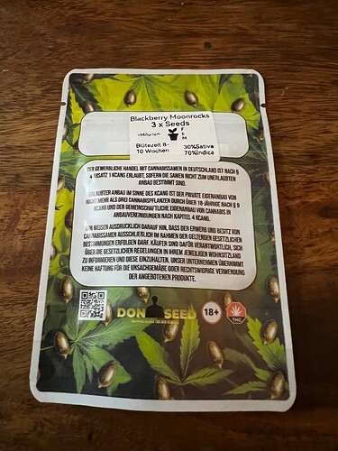 Growreport Bild 12
