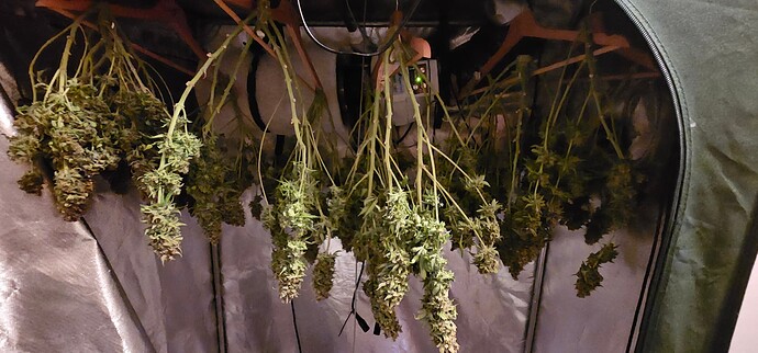 Growreport Bild 22