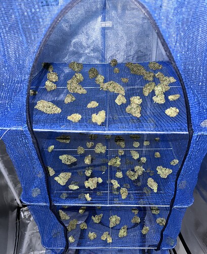 Growreport Bild 42