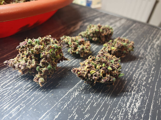 Growreport Bild 6