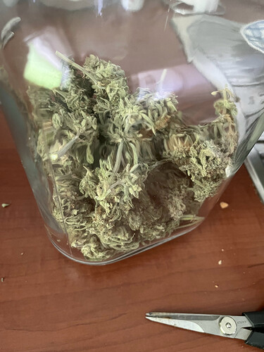 AFDA6C57-8301-48AD-A508-C30D2F95BE5E