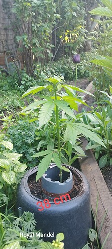 IMG_20250510_193853