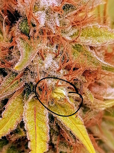 Growreport Bild 6