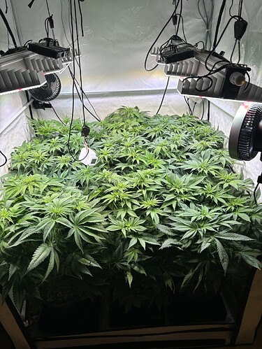 Growreport Bild 21