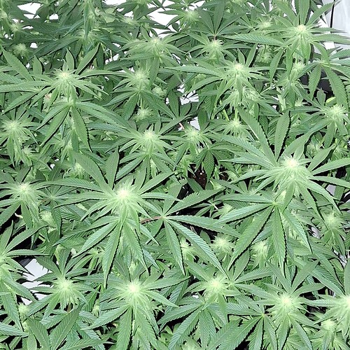 473728373_122164986320293599_8475772217842759917_n