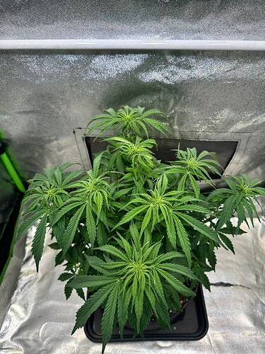 Growreport Bild 8