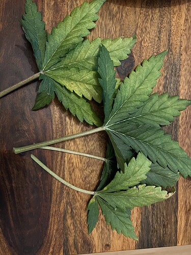 Growreport Bild 14