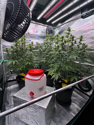 Growreport Bild 12