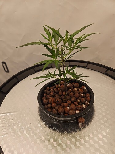 Growreport Bild 23