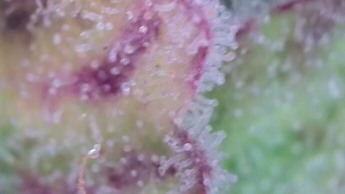 Growreport Bild 21