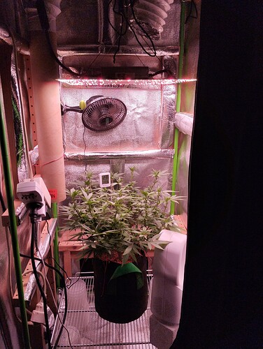 Growreport Bild 3