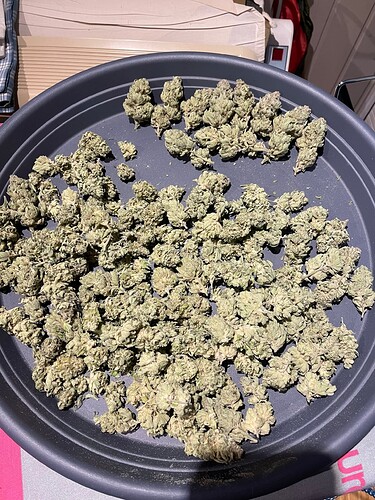 Growreport Bild 57