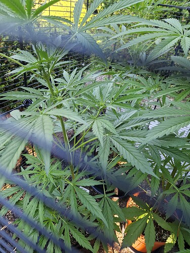 Growreport Bild 8