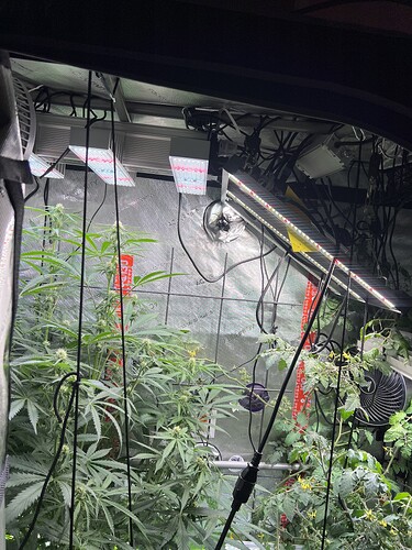 Growreport Bild 8
