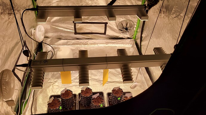 Growreport Bild 3