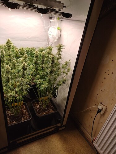 Growreport Bild 22