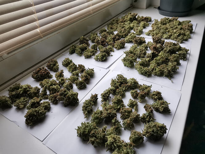 Growreport Bild 20