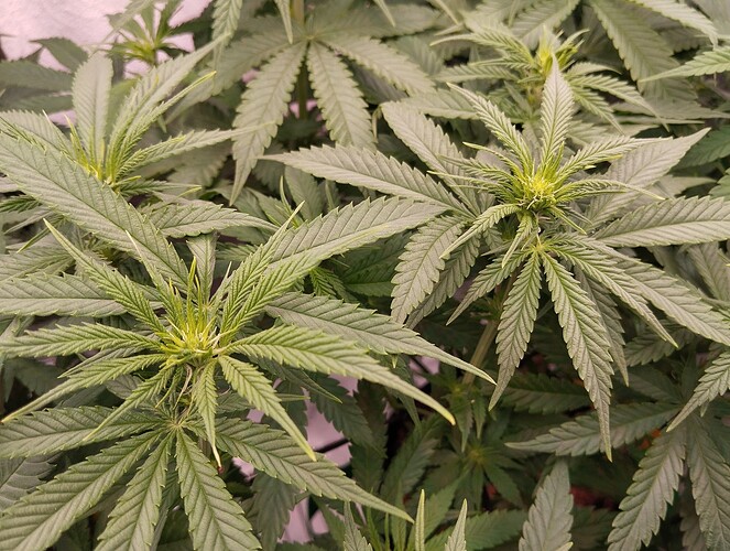 Growreport Bild 12
