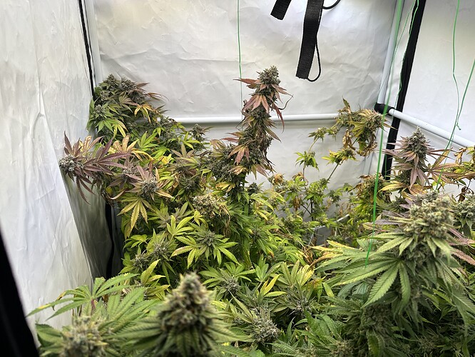 Growreport Bild 2