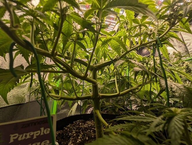 Growreport Bild 12