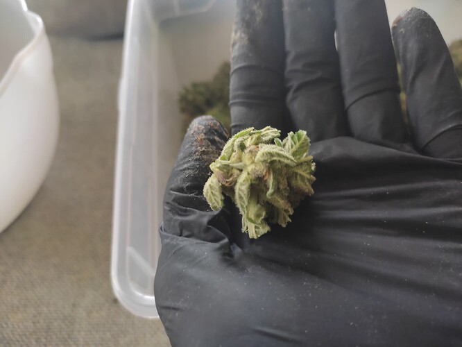 Growreport Bild 5