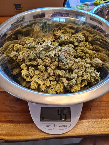 Growreport Bild 5
