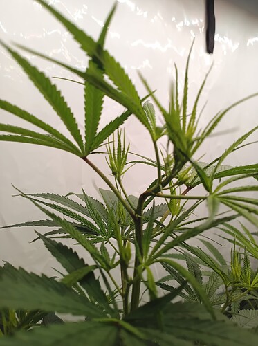 Growreport Bild 14