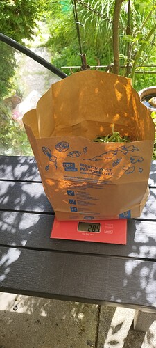 Growreport Bild 5