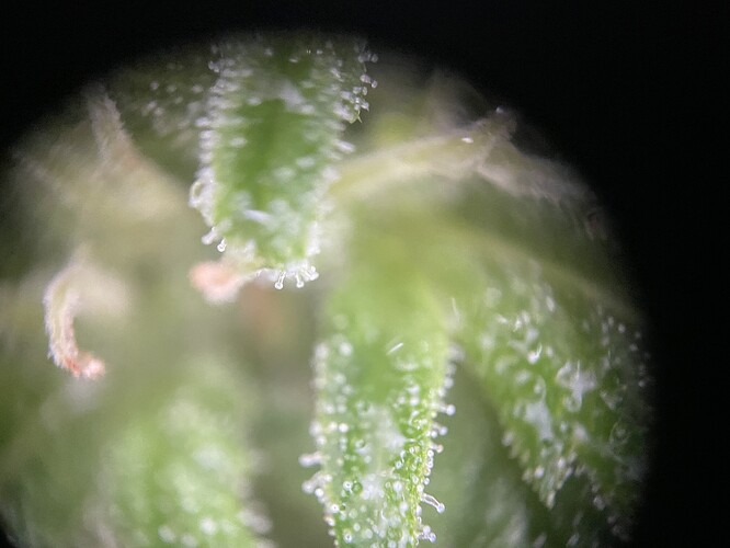 Growreport Bild 8