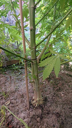 Growreport Bild 13