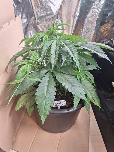 Growreport Bild 21