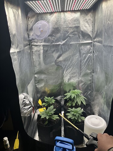 Growreport Bild 12