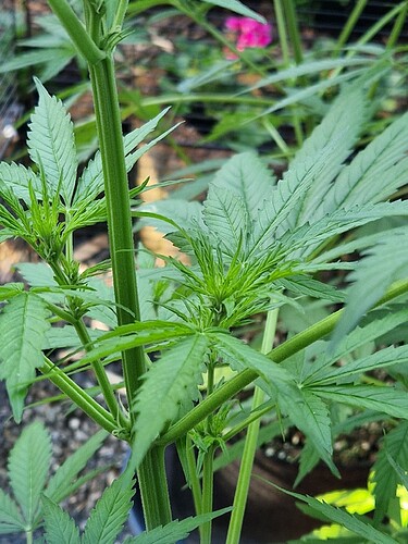Growreport Bild 6