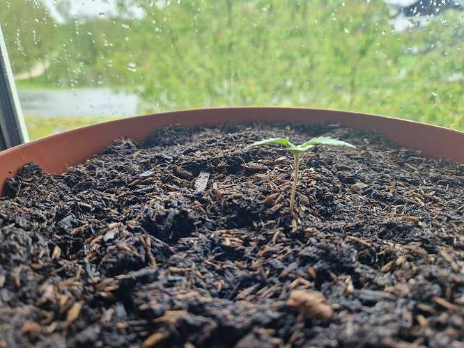 WhatsApp Image 2024-04-19 at 13.00.04 (3)