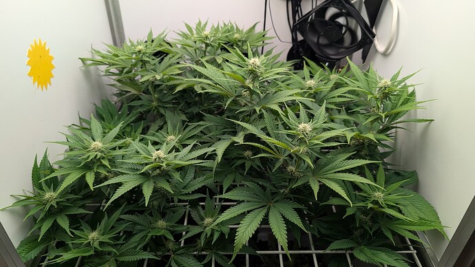 Growreport Bild 12