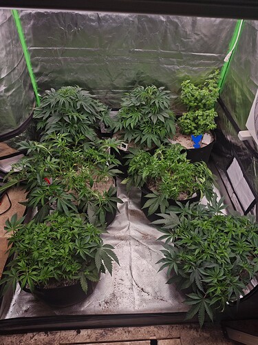 Growreport Bild 10