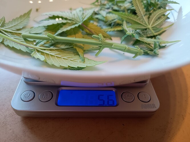 Growreport Bild 14