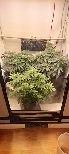 Growreport Bild 4