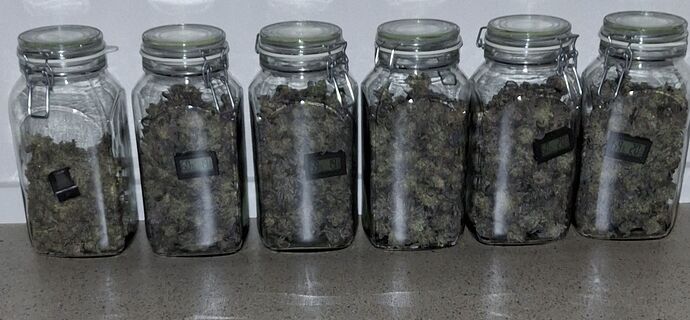 Growreport Bild 52